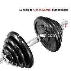 China Anti Rust Cast Iron 25kg 5Kg Bumper Weight Plates supplier