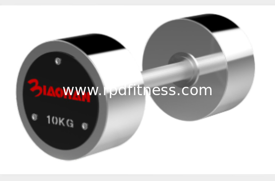 Custom RAPID Stainless Steel Dumbbells Logo Available For Gym Fitness supplier
