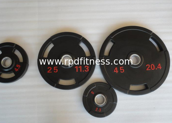 Stainless Handle 5kg CR Plating Gym Fitness Dumbbell supplier